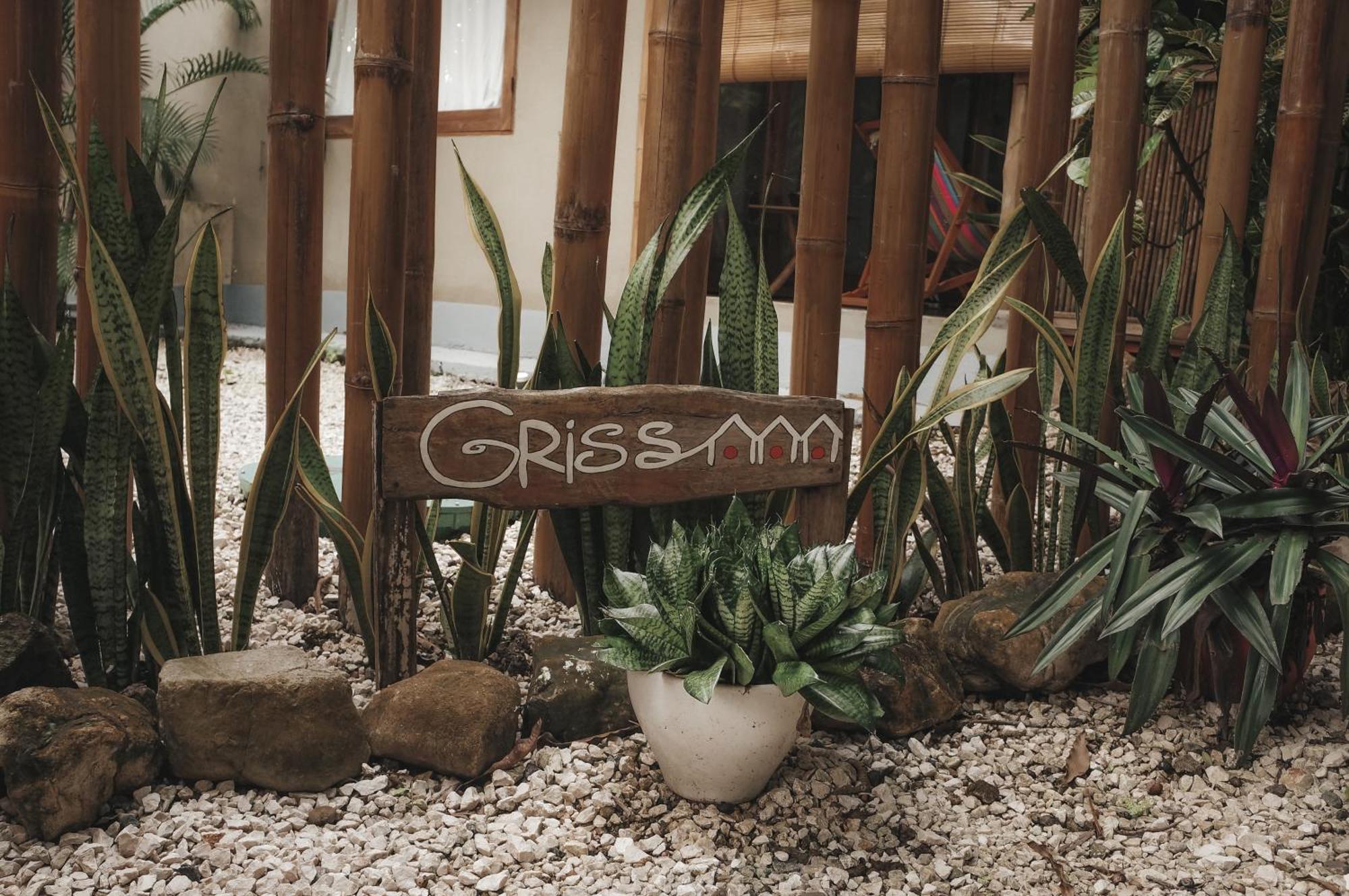 Griss Lodge&Villas Playa Santa Teresa  Exterior foto